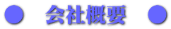 œ@‰ïŽÐŠT—v@œ